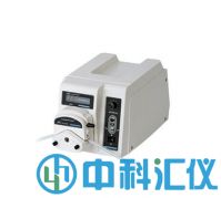 BT300-2J蠕動泵
