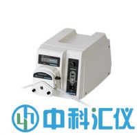BT600-2J 蠕動泵