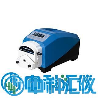 G300-2J工業(yè)蠕動泵.jpg